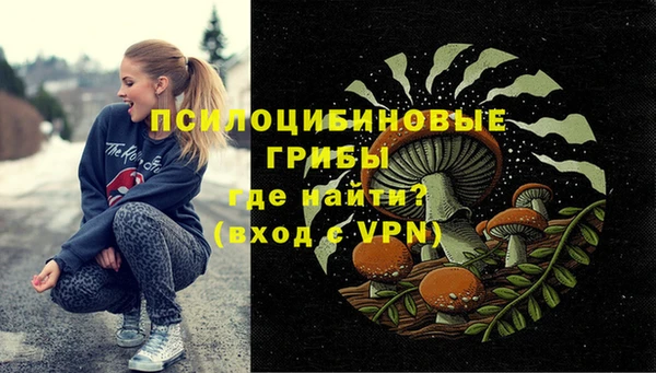 винт Алексин